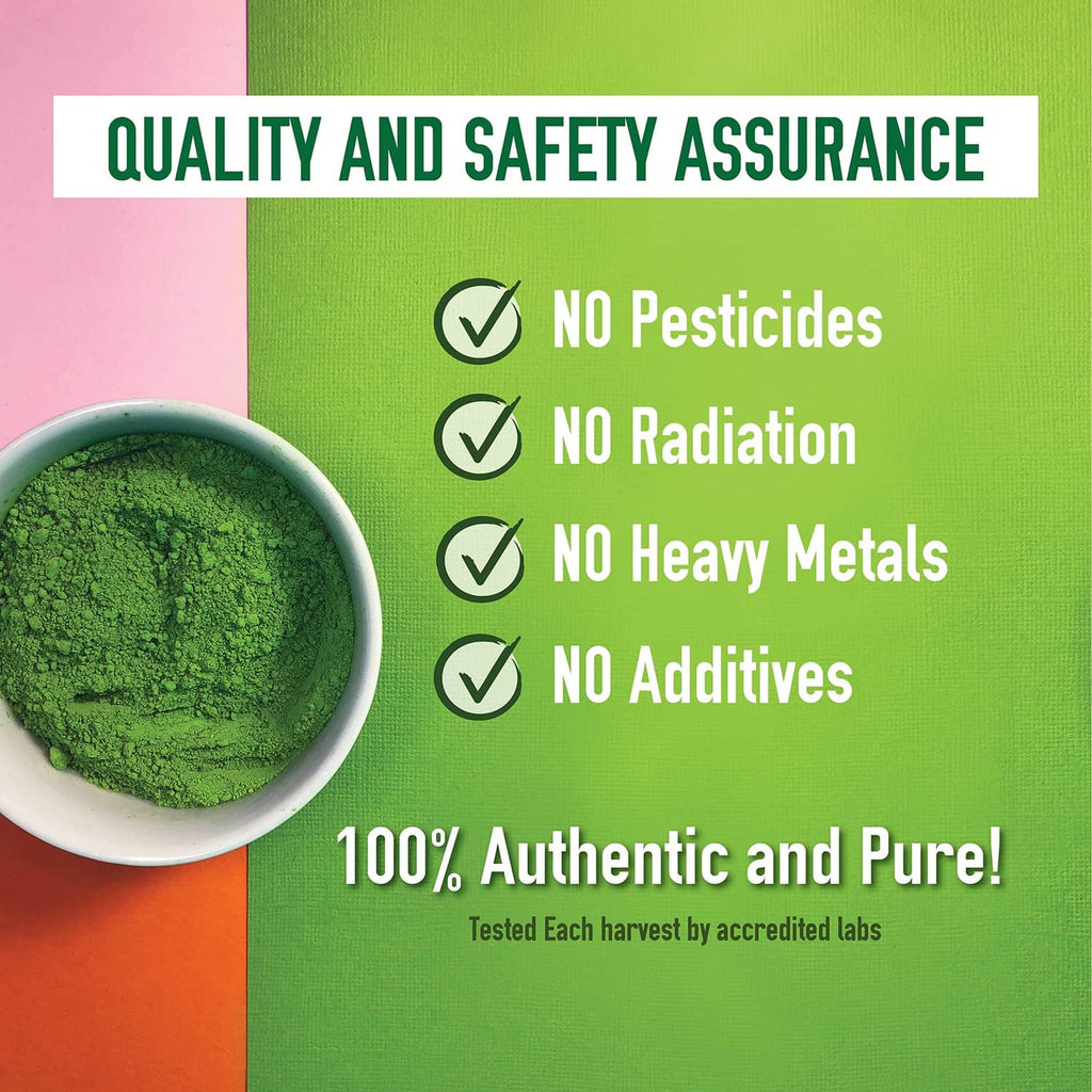 Matcha quality and safety assurance infographic with green powder bowl