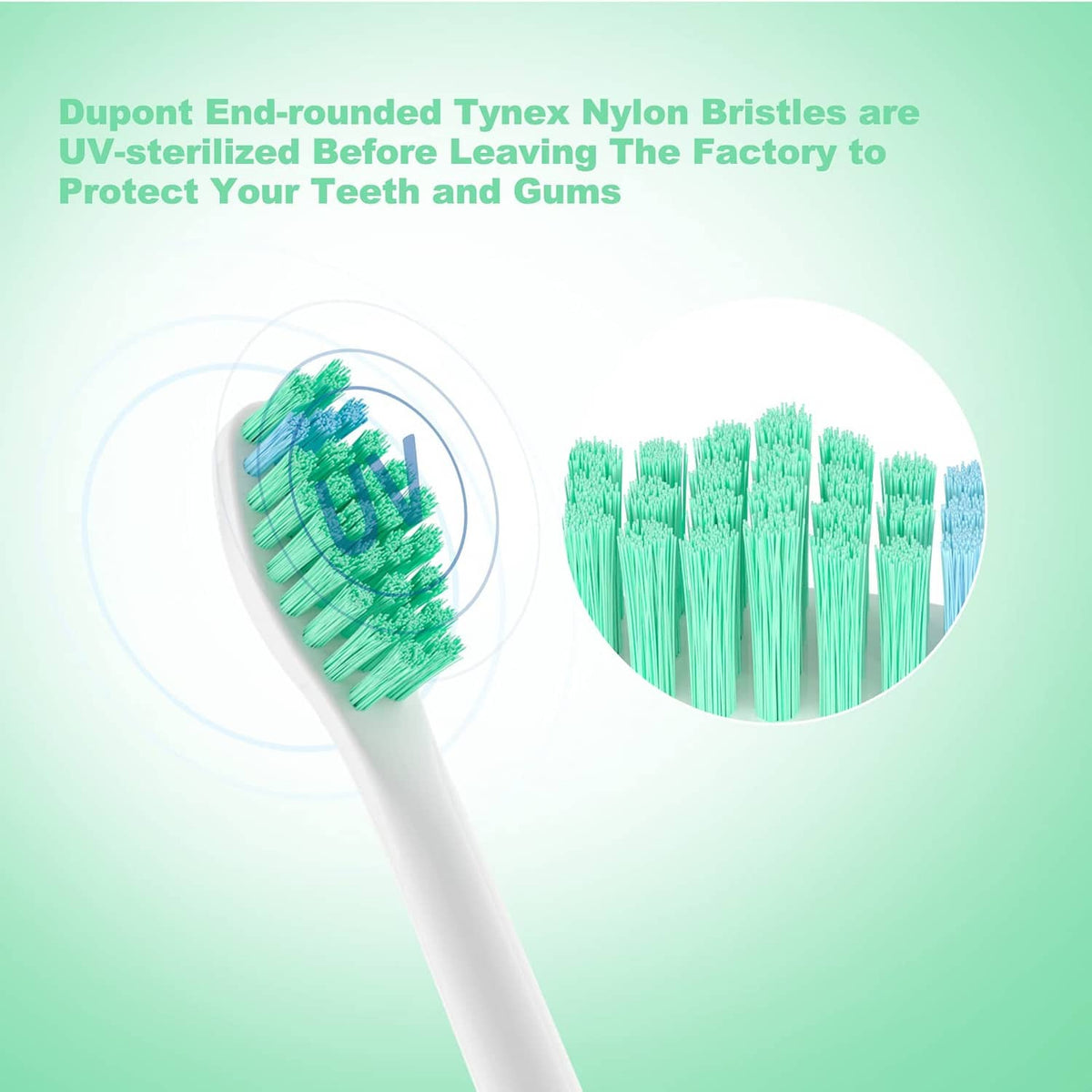 RivetOak Pisonicleara Replacement Toothbrush 1 Count (Pack of 6), White & Green