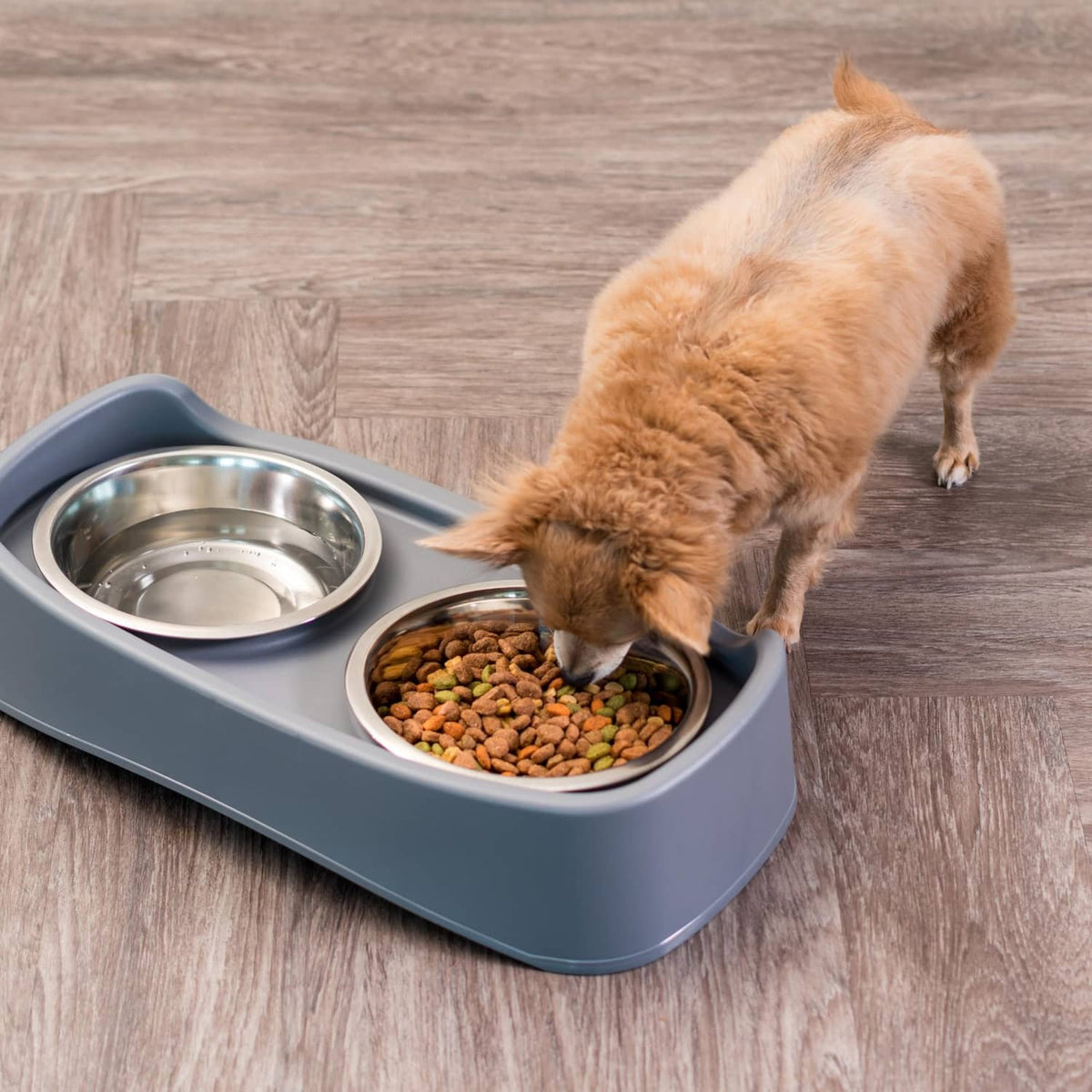Grey elevated dog bowl set with stainless bowl and kibble; dog eating
