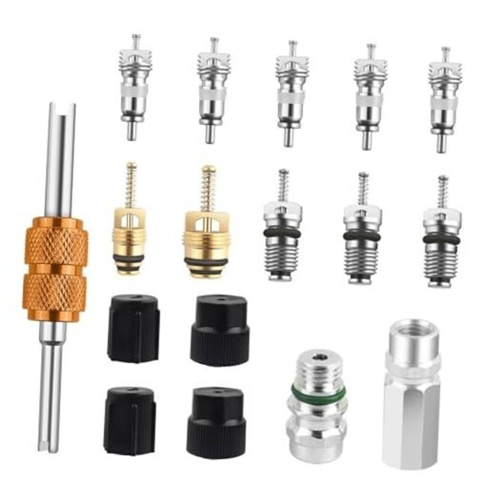 AC valve core repair kit with brass and silver tools plus black plastic caps