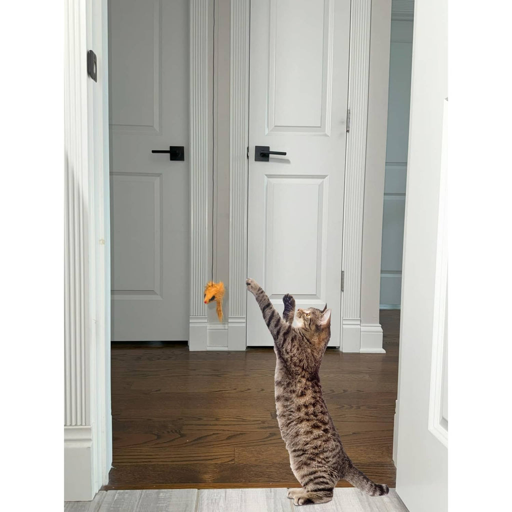 Hanging cat toy with orange plush mouse while a tabby cat stands up