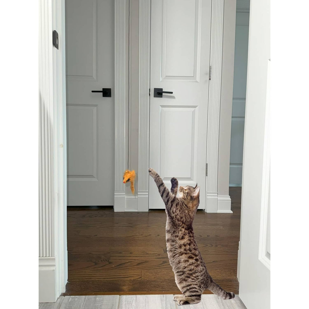 Hanging cat toy with orange plush mouse while a tabby cat stands up