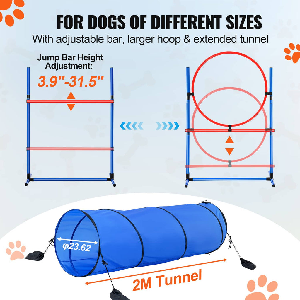 Adjustable dog agility jump frame with blue hoop and extended blue tunnel