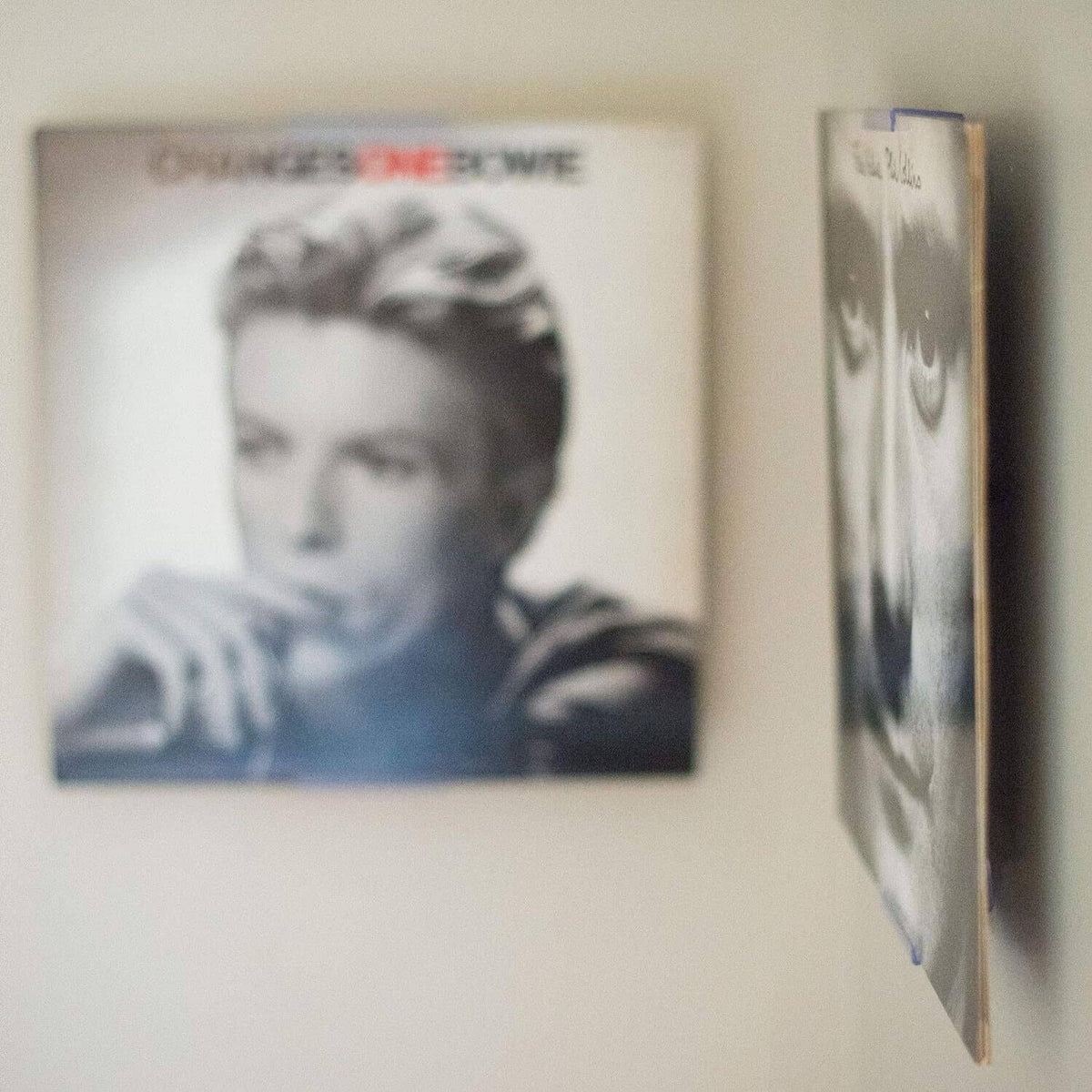 Clear wall display pockets holding album covers with black mounting knobs