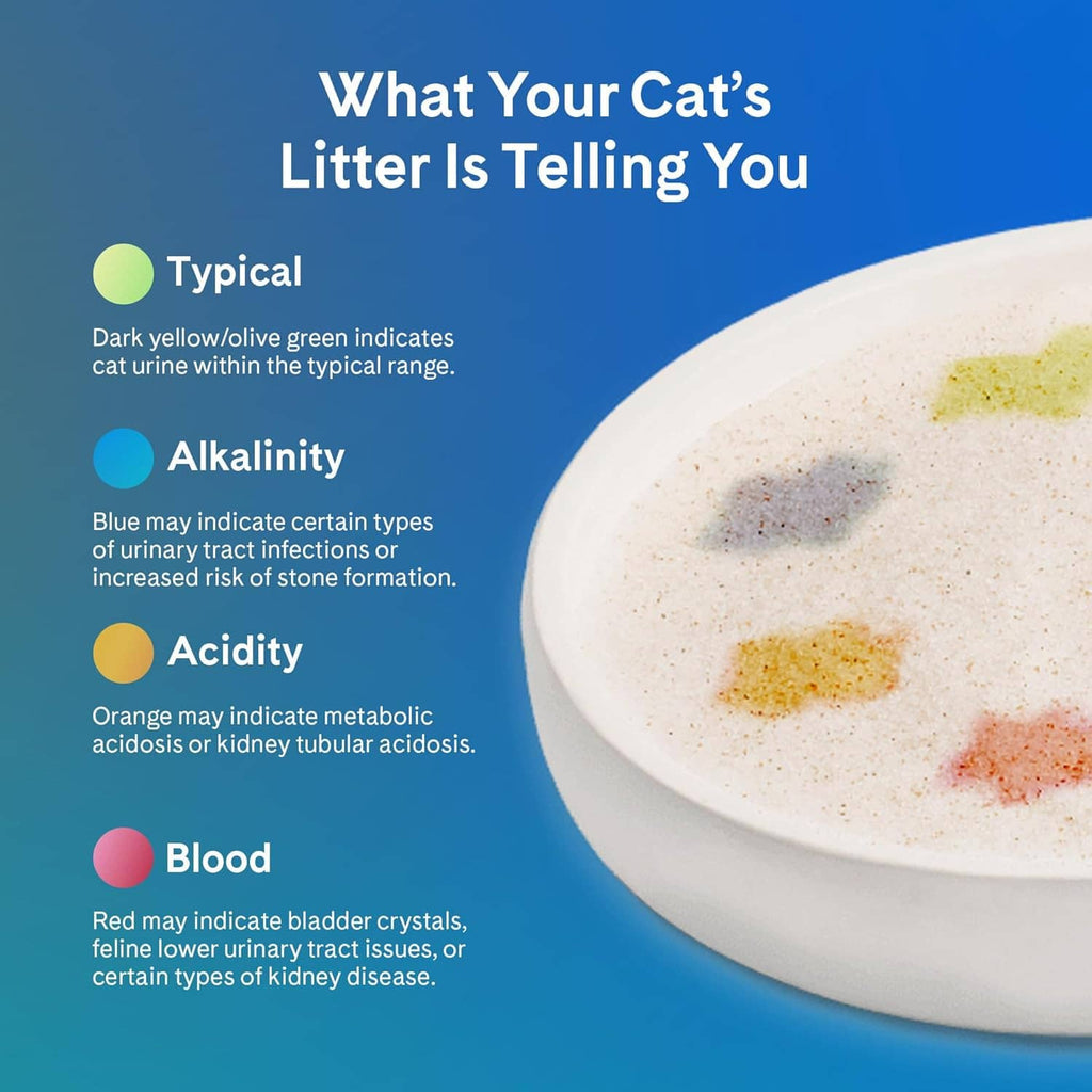 Cat litter bowl with colored urine-change indicators on a blue background