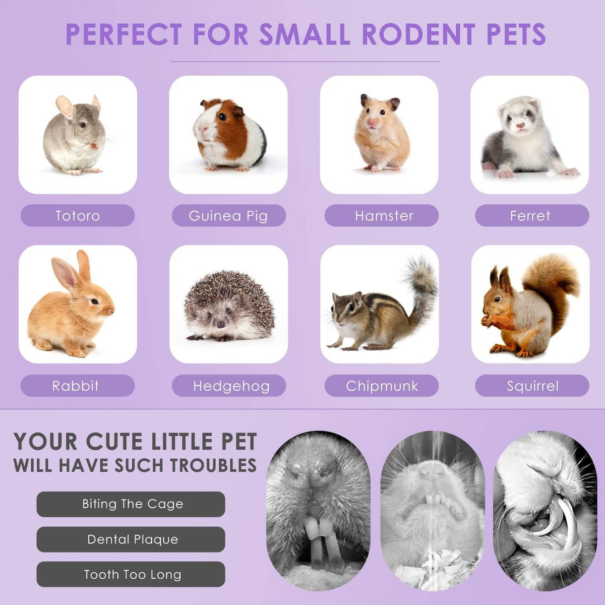 Rodent pet lineup with mixed rabbit chew sticks for small rodent chewing