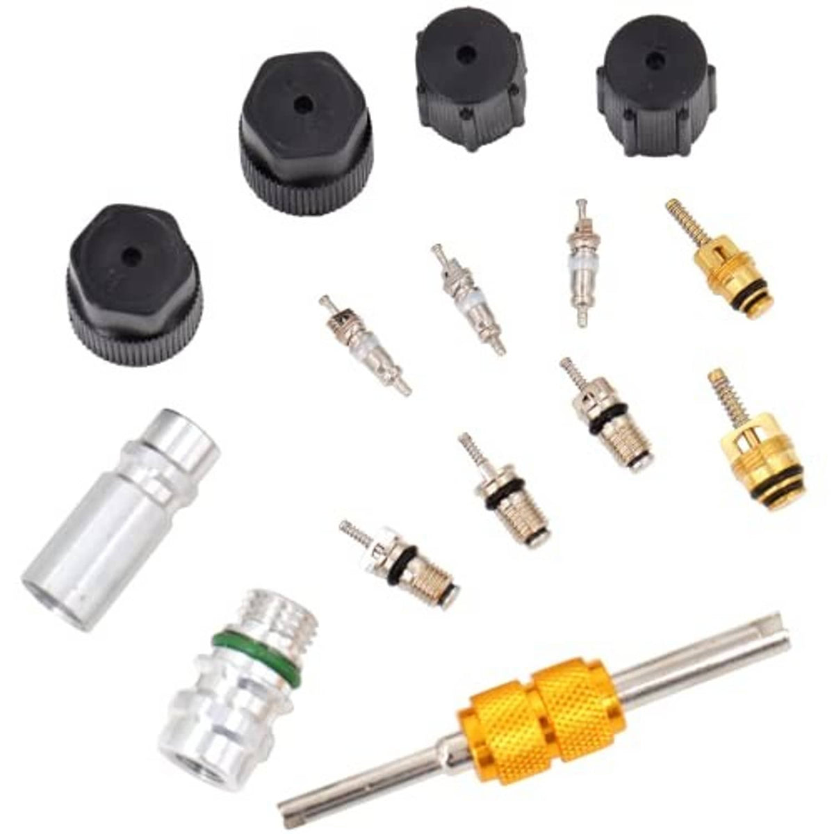 Valve core kit with black seal caps, brass fittings, and metal cores, assorted pieces