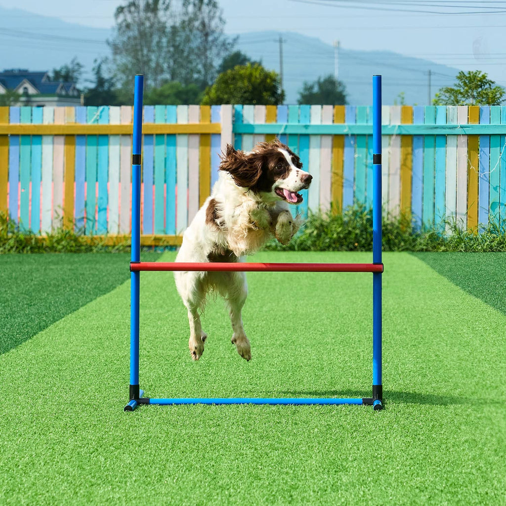 Blue and red dog jump bar obstacle for agility training in outdoor yard