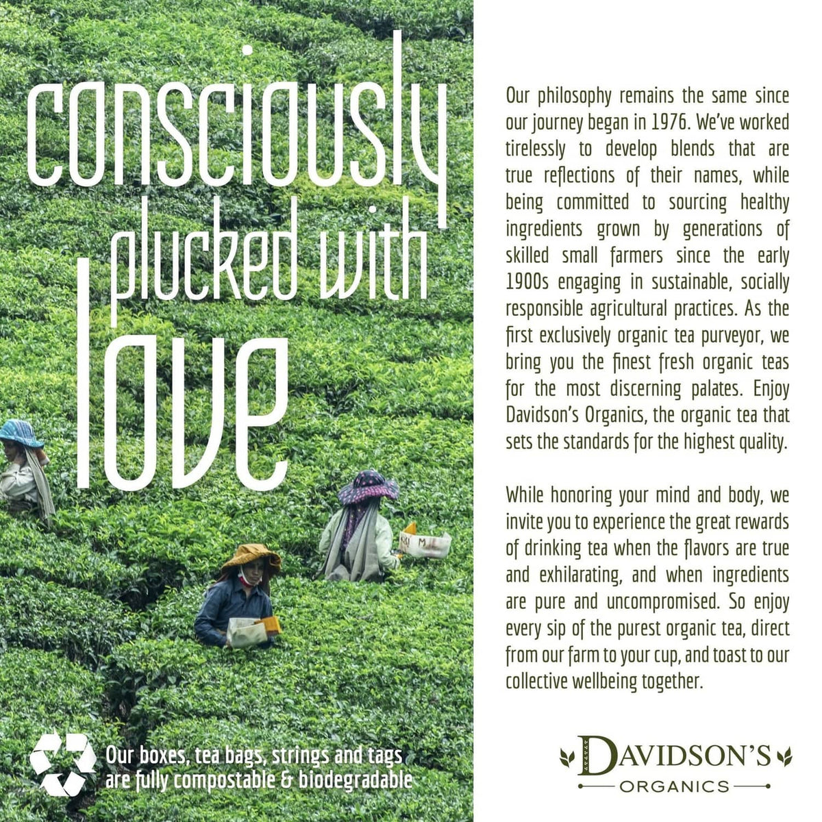 Davidson's Organics consciously picked for you promotional tea-growing banner
