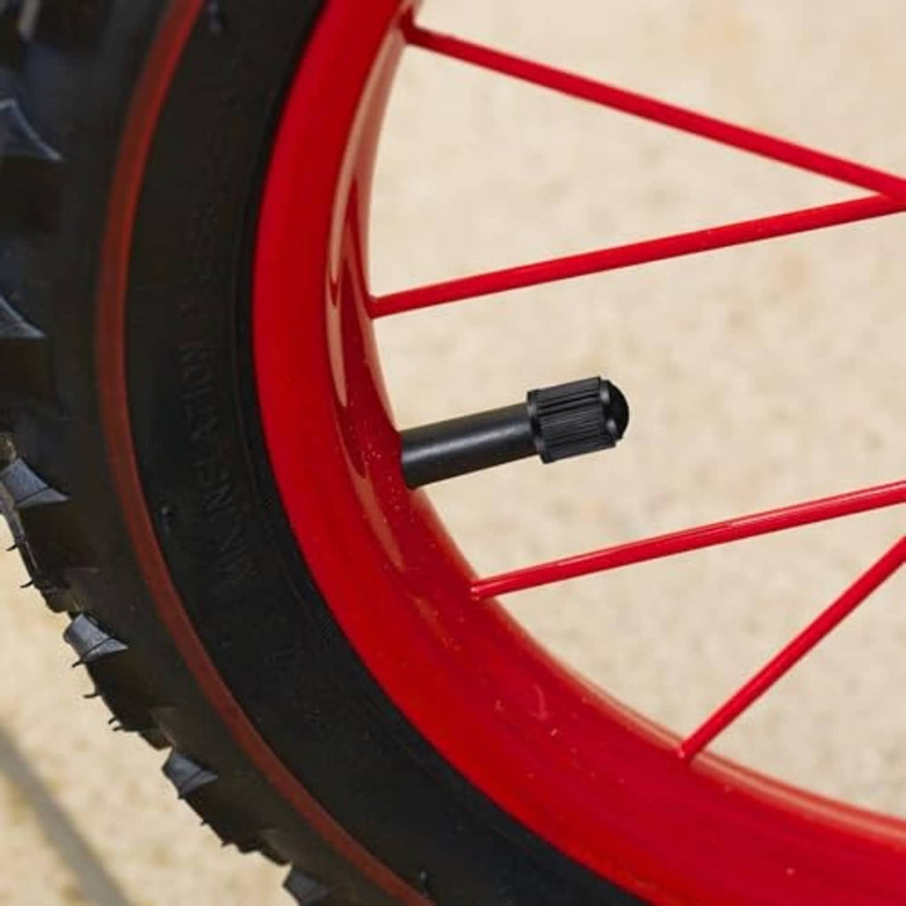 Black tire valve stem cap installed on a car tire valve stem