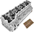 Cylinder head assembly with camshaft and valves, plus threaded stud set