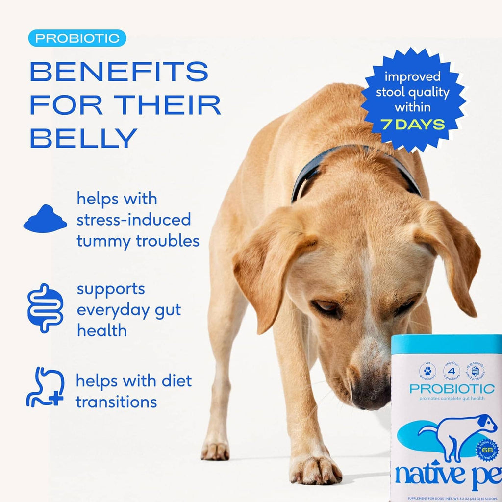 Native Pet dog probiotic powder shown beside a dog, with benefits text and small bottle