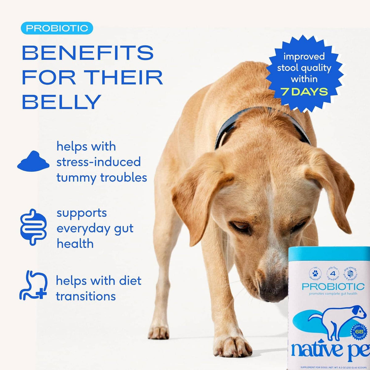 Native Pet dog probiotic powder shown beside a dog, with benefits text and small bottle