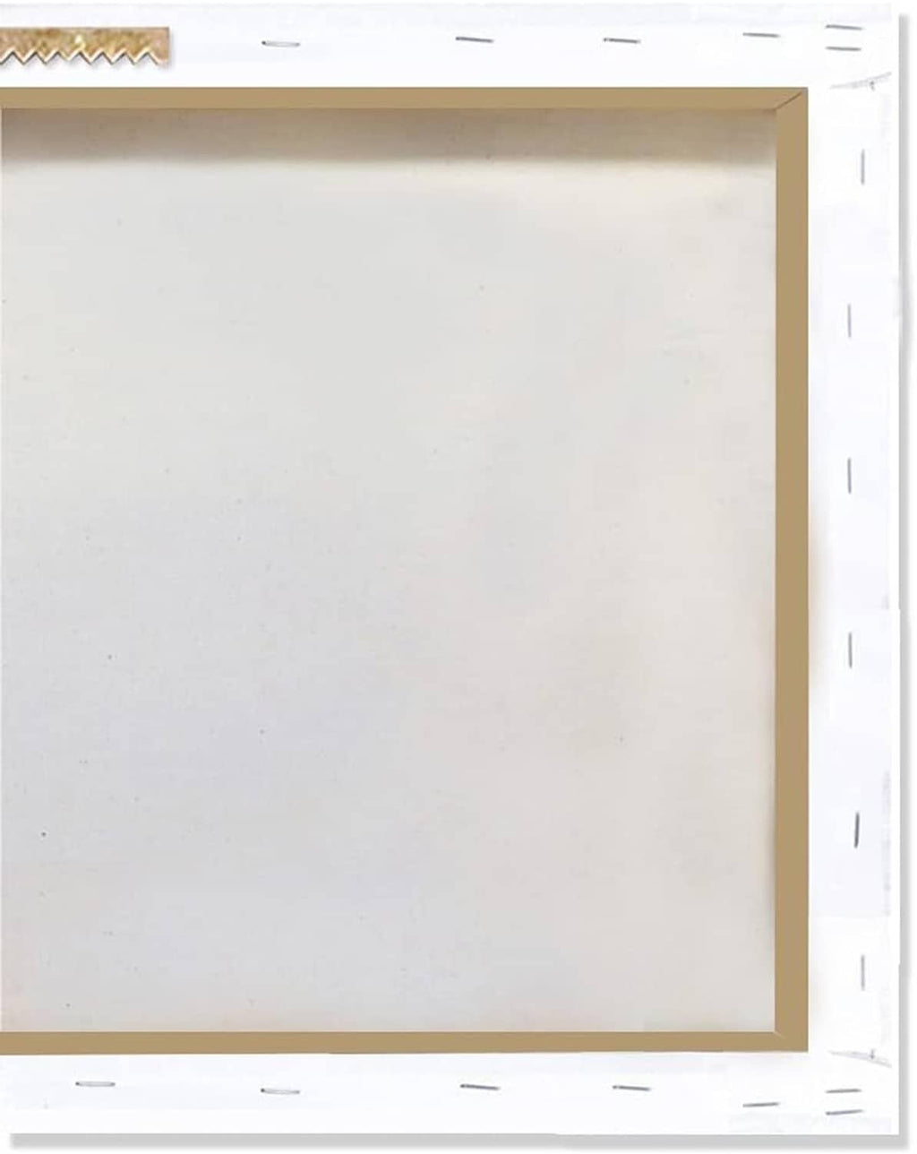 Wrapped canvas frame back view with white backing and wooden edge trim