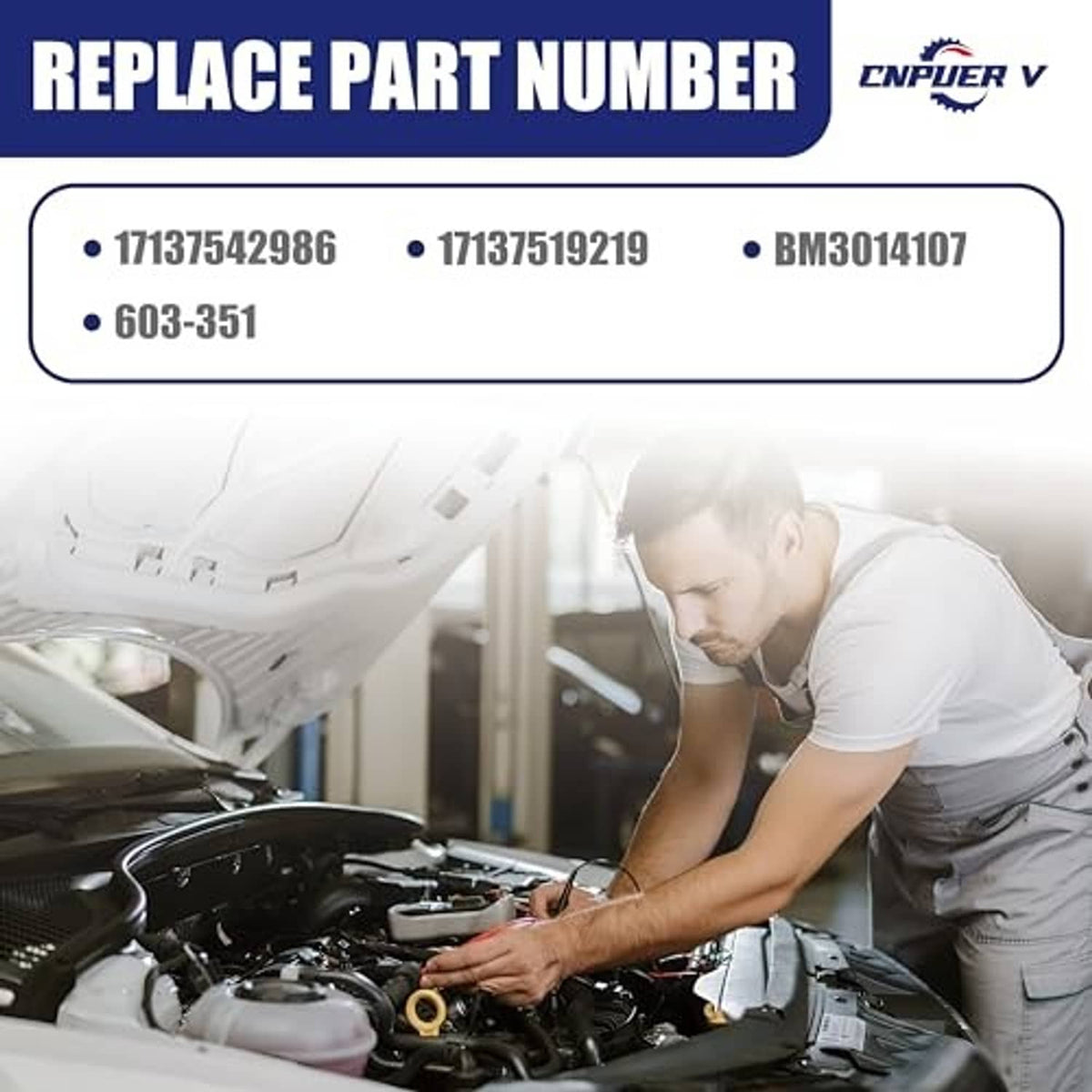 Mechanic installing an engine component in a BMW engine bay