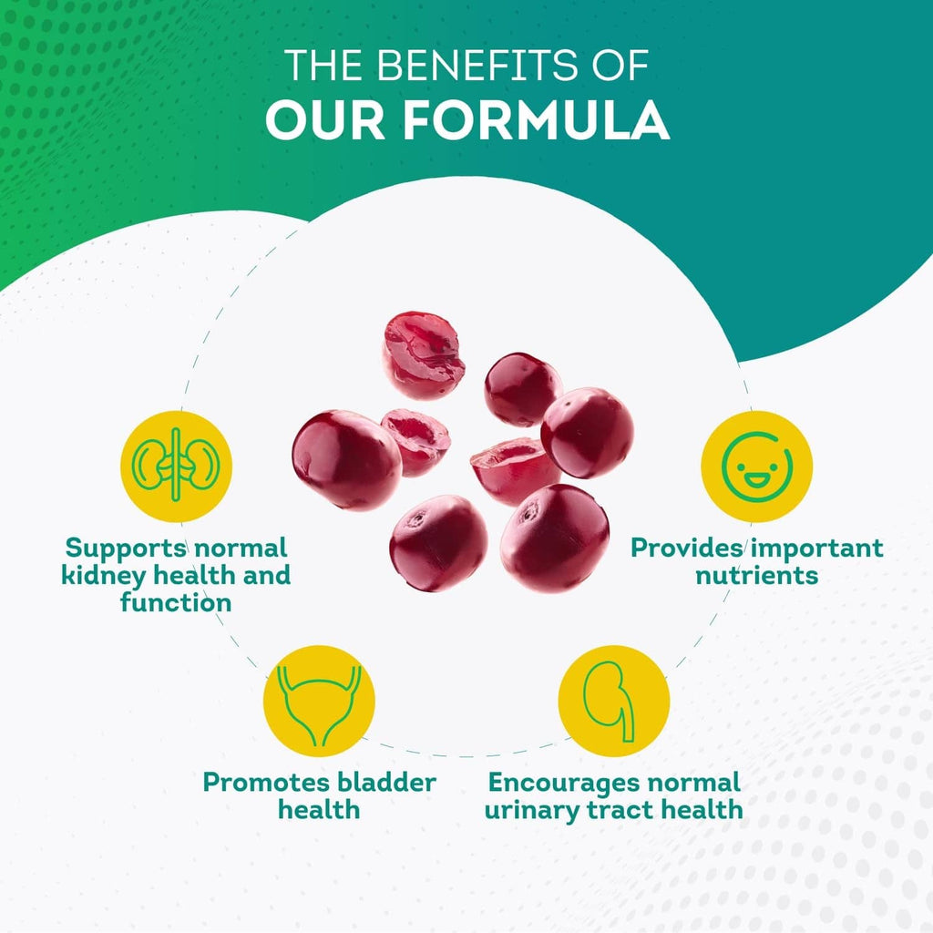 Kidney support formula benefits graphic with bladder, kidney, and nutrition icons.