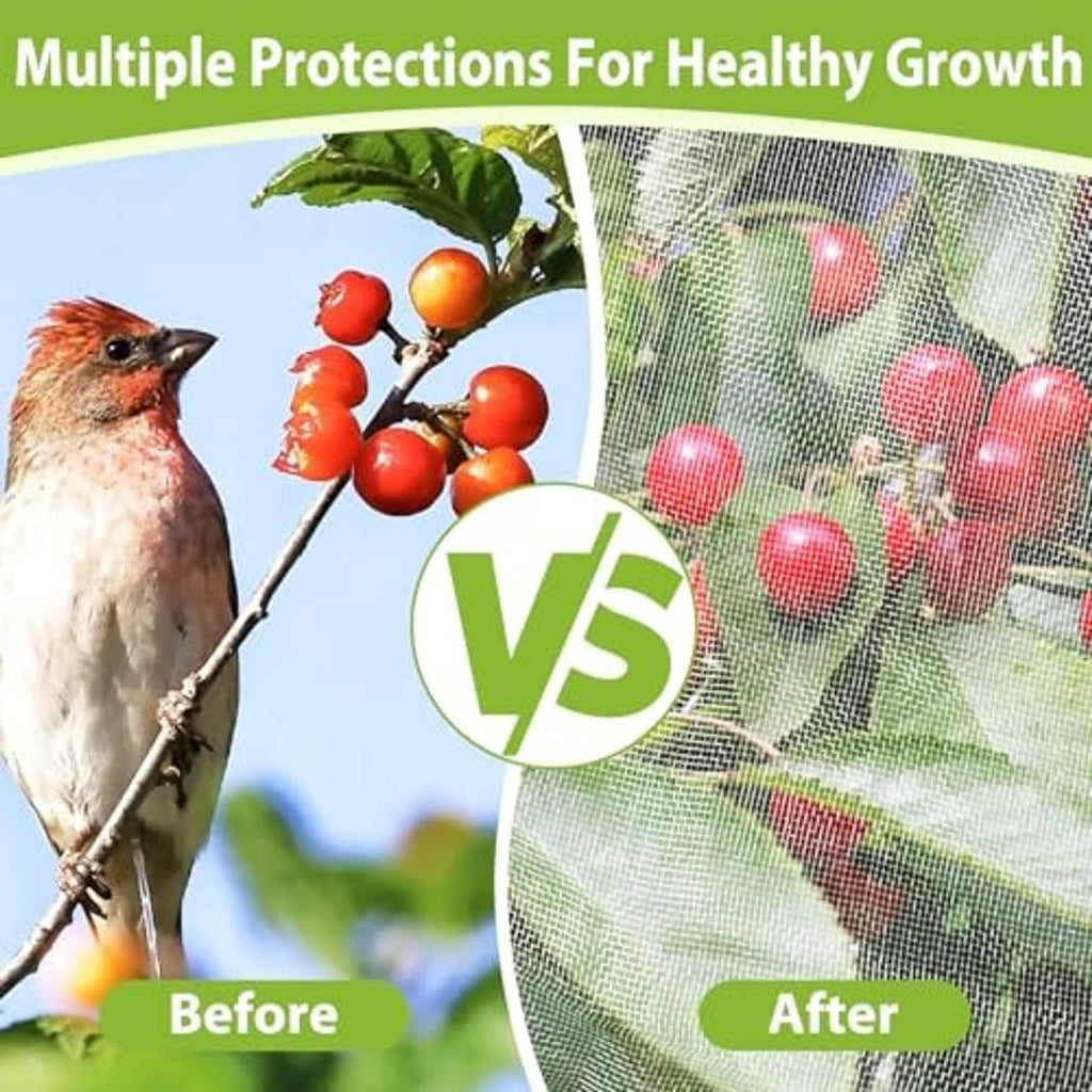 Fruit tree netting cover over branches and fruit, fine mesh barrier for protection