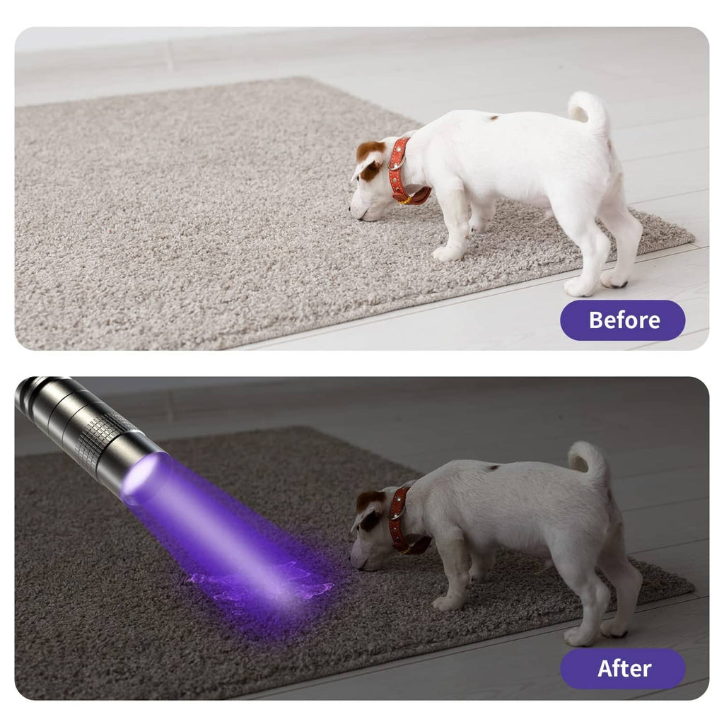 UV flashlight shows purple glow on dog bed area, before and after comparison