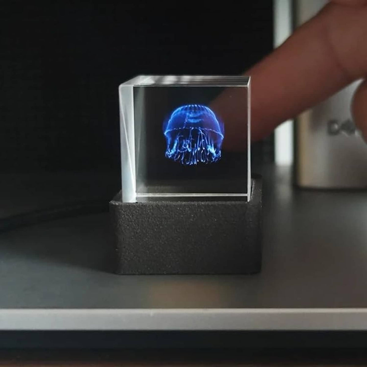 Holographic crystal 3D display with blue jellyfish graphic in black base