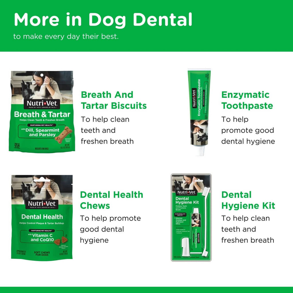 Dog enzymatic toothpaste tube and dog dental cartons, non-foaming with chicken flavor