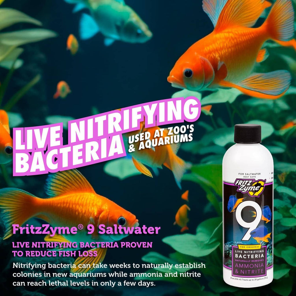 Live nitrifying bacteria bottle for saltwater, FritzZyme 9, proven to reduce fish loss.