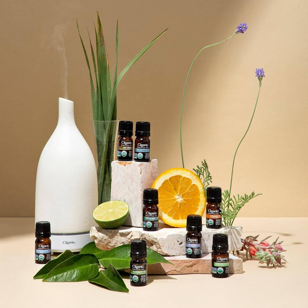Lavender essential oil bottles with white diffuser, surrounded by fresh botanicals.