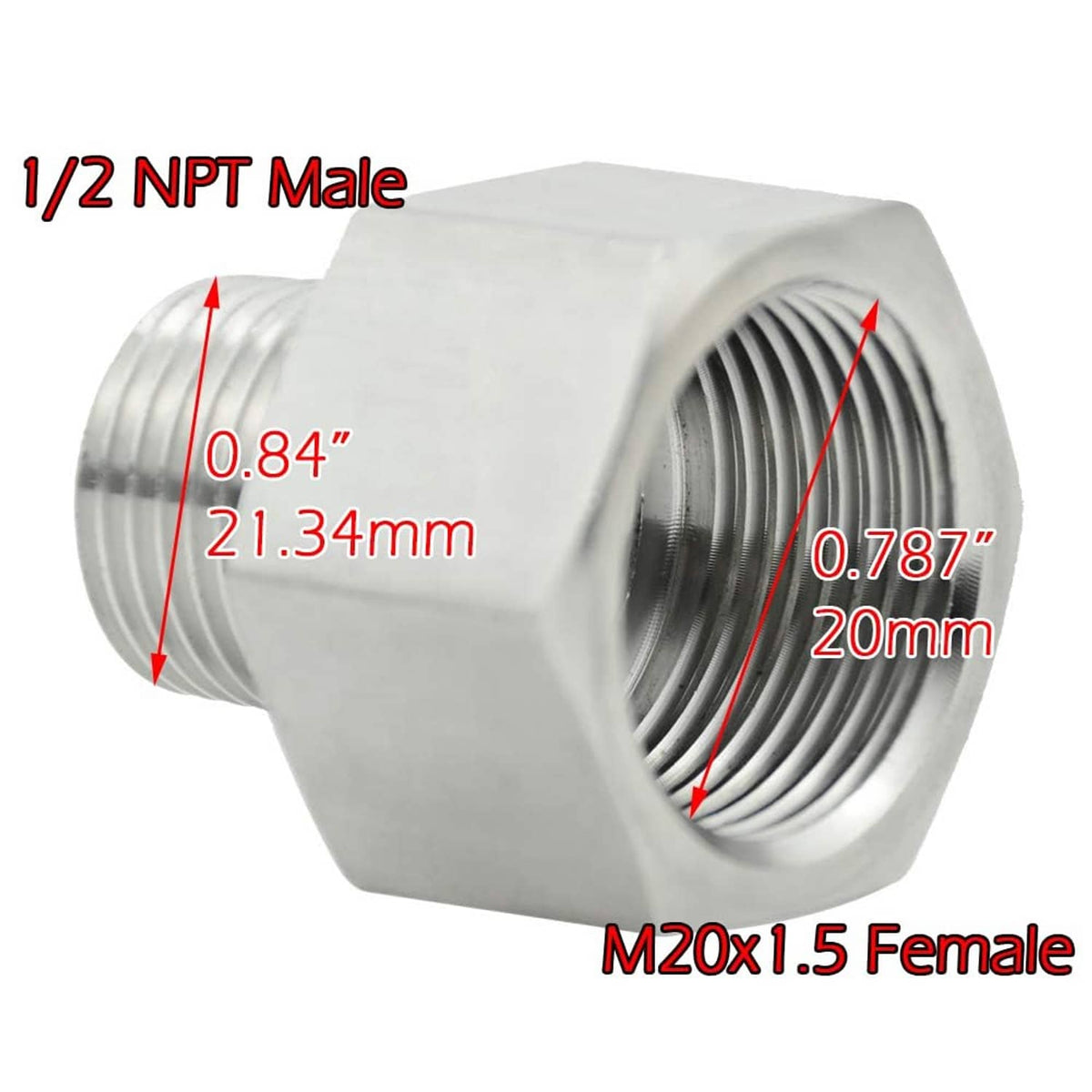 RivetOak Beduan Stainless Steel Thread Adapter M20x1.5 Female to NPT 1/2" Male, Silver