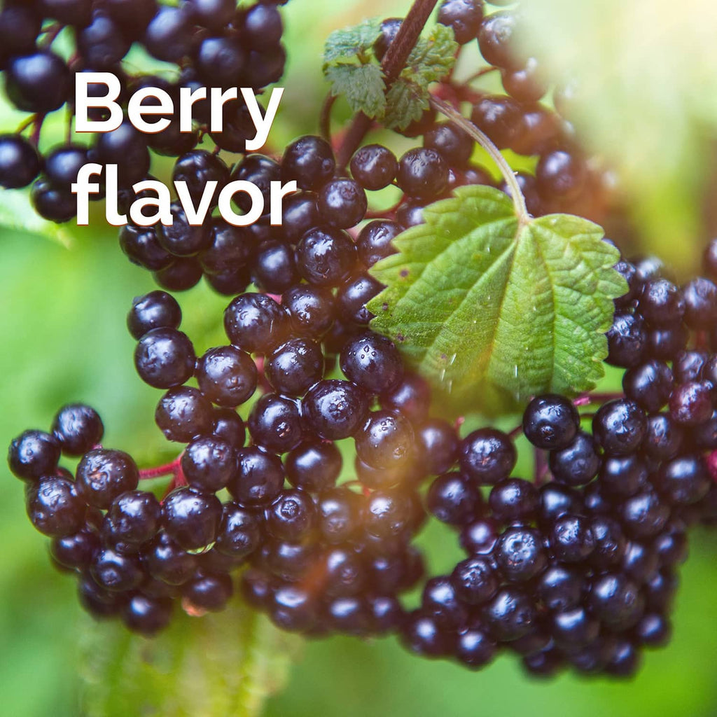 Elderberry berry flavor close-up with dark berries and green leaves