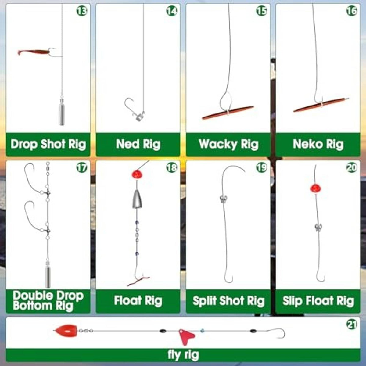 Fishing rig diagram cards showing drop shot, wacky, neko and other hook setups
