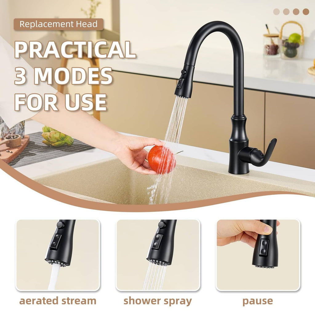 Matte black kitchen faucet with handheld spray head and arched gooseneck