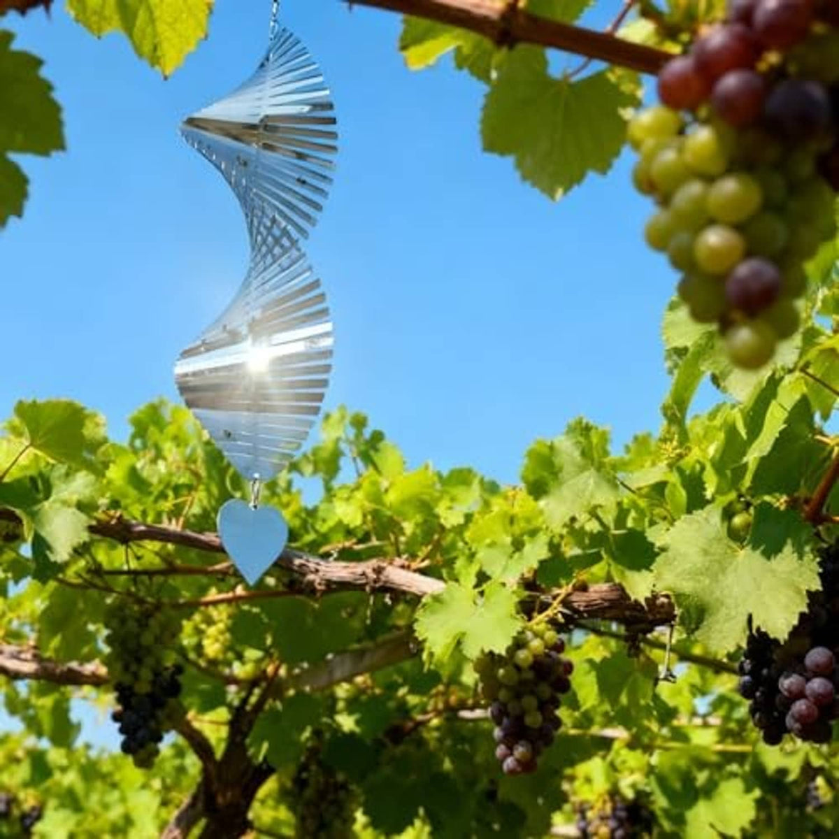Reflective bird-deterrent wind spinner with heart charm hanging among grapevines