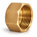 Brass NPT female pipe cap end plug with internal threads and hex exterior