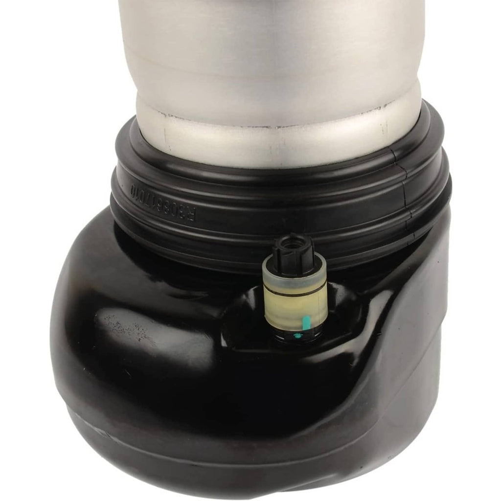 Air suspension shock strut with white upper mount and black spring bell housing
