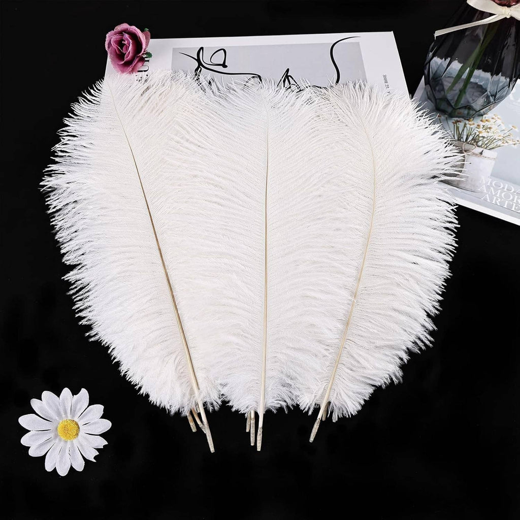 White ostrich feathers set: three long fluffy plumes with slim quills on display card