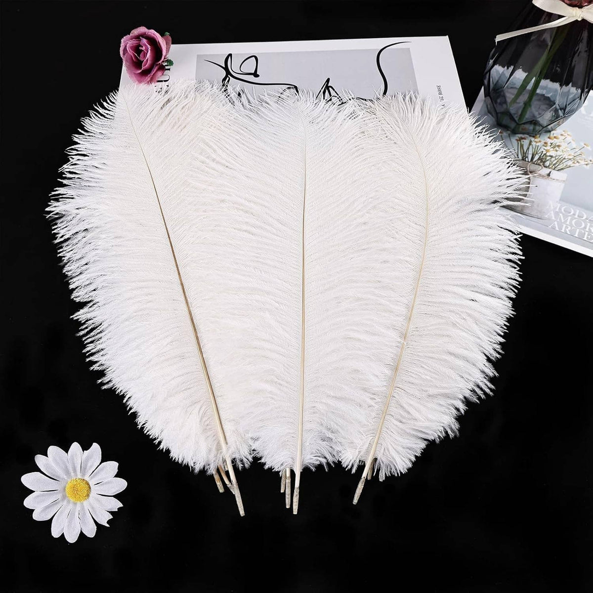 White ostrich feathers set: three long fluffy plumes with slim quills on display card