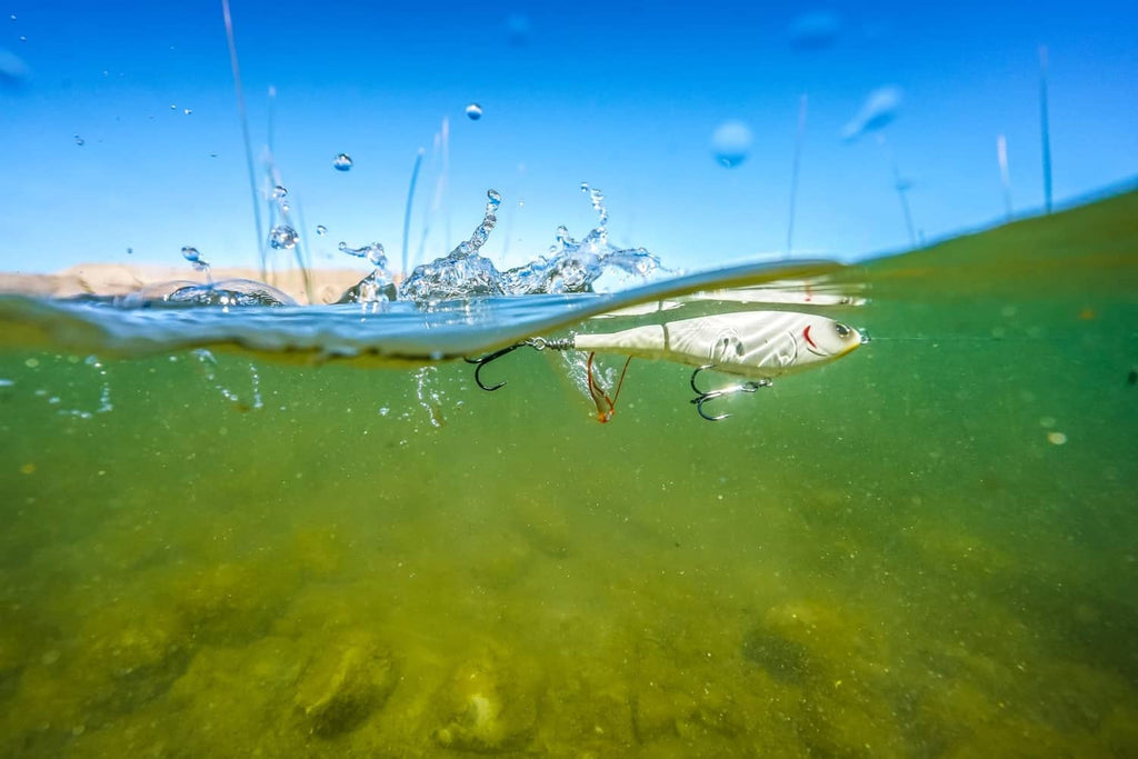 Topwater fishing lure splashing at the water surface with treble hooks visible