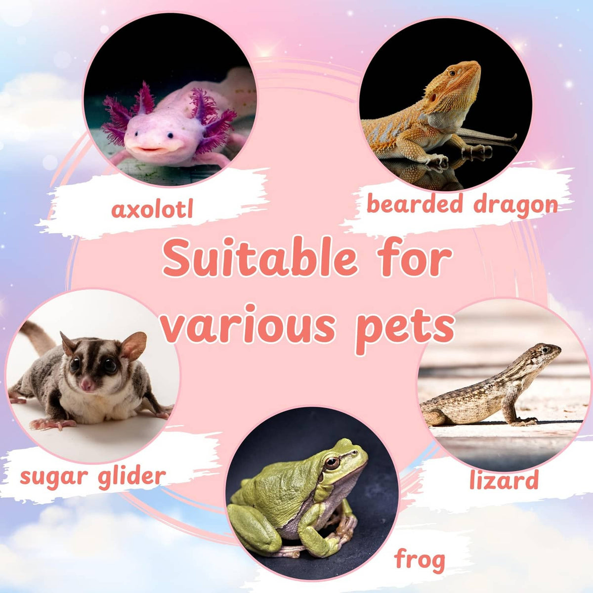 Axolotl hammock compatibility graphic with axolotl and other pet icons