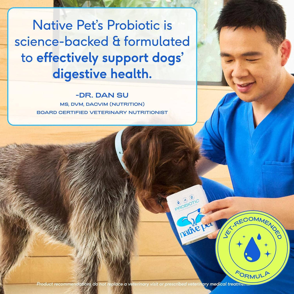 Native Pet dog probiotic powder pack held for use, with vet-recommended formula seal