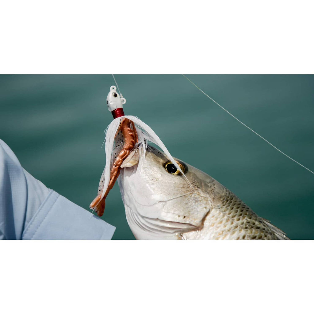 Fish holding a shrimp-shaped soft bait on a fishing hook