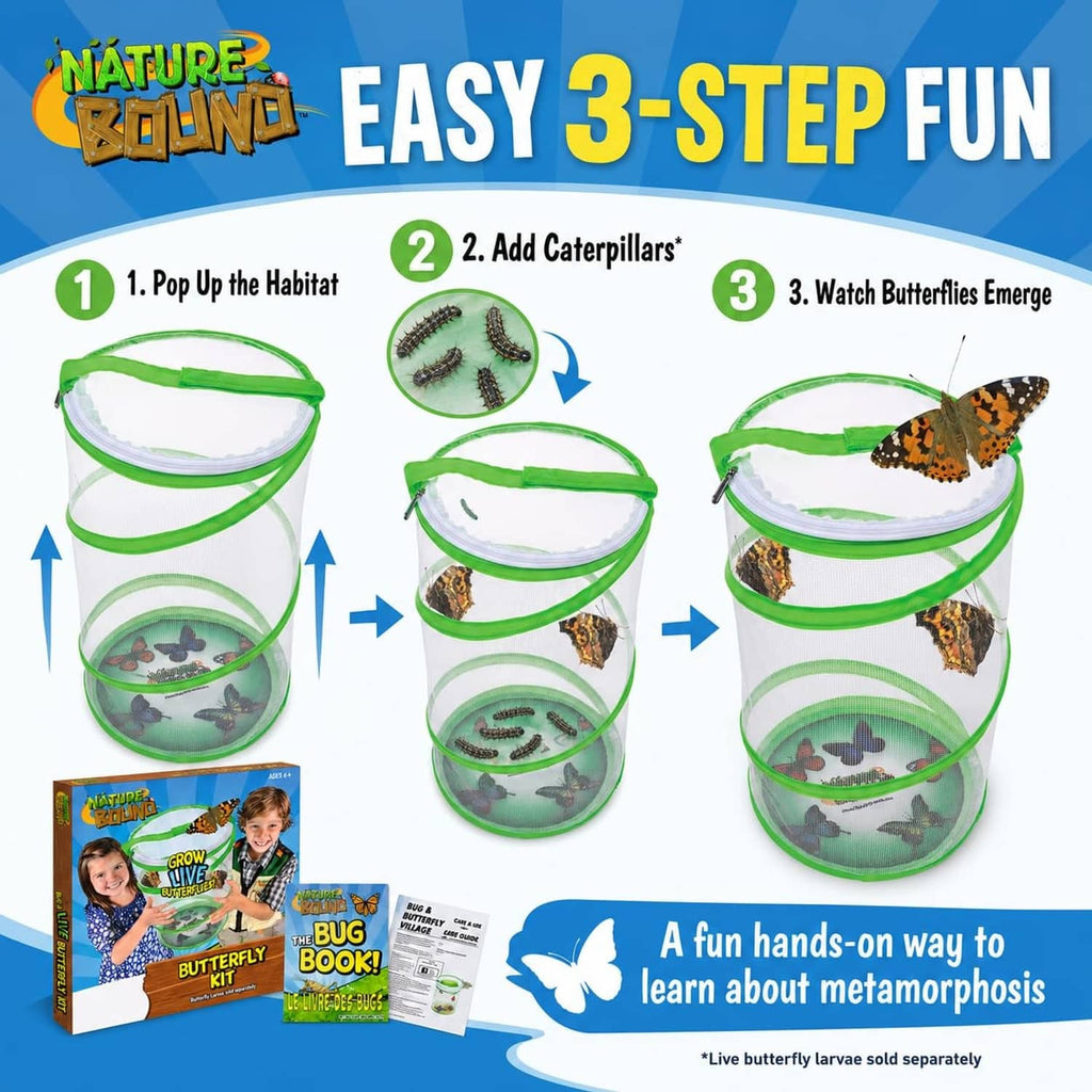Butterfly growing kit showing three-step setup with green mesh habitat containers.