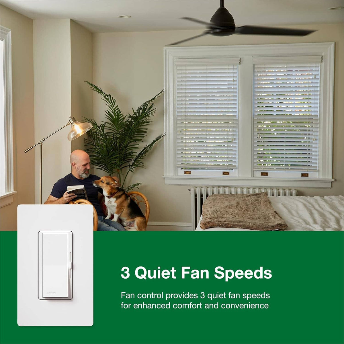 White fan speed control wall switch beside a ceiling fan in a living room