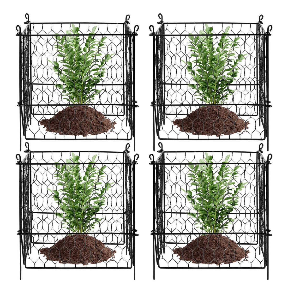 Four-pack black metal mesh plant protector cages with potted plants