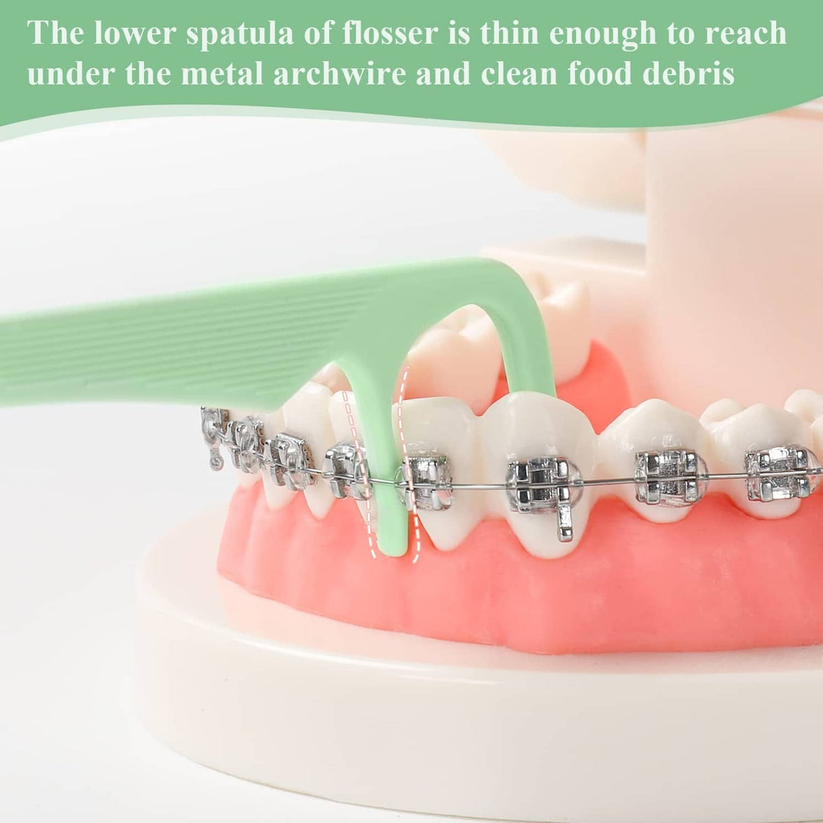 Orthodontic flosser with thin green spatula tip cleaning braces