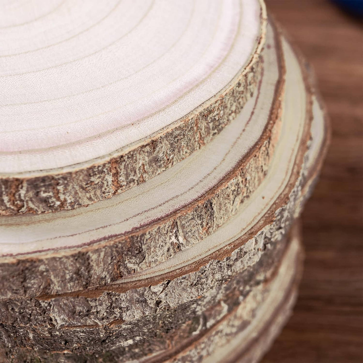 Close-up of natural round wood slice rings and textured bark edge
