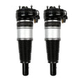 Front air suspension struts, black housings with silver center cylinders and mounts