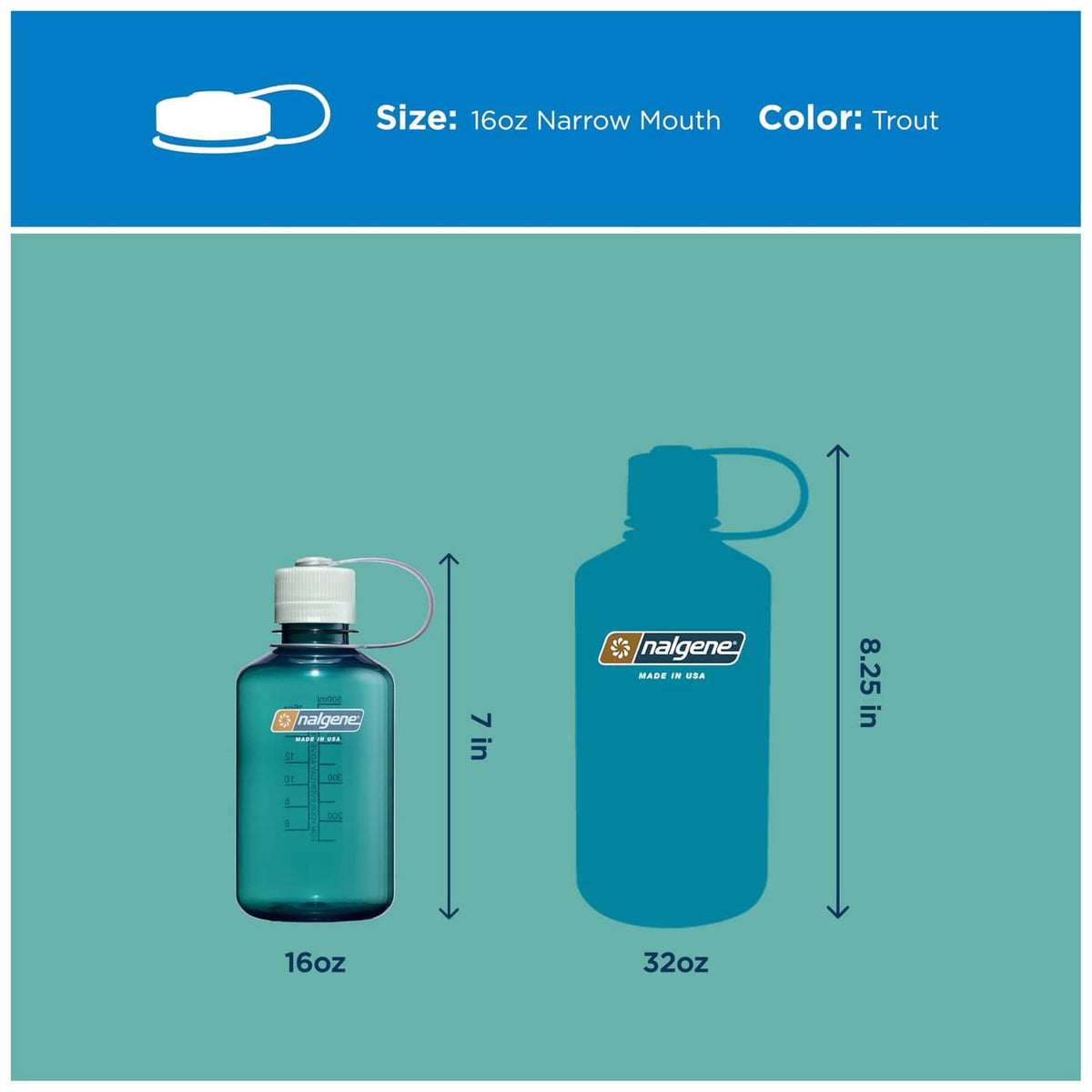 Nalgene narrow-mouth bottle size diagram: teal 16 oz with loop handle.