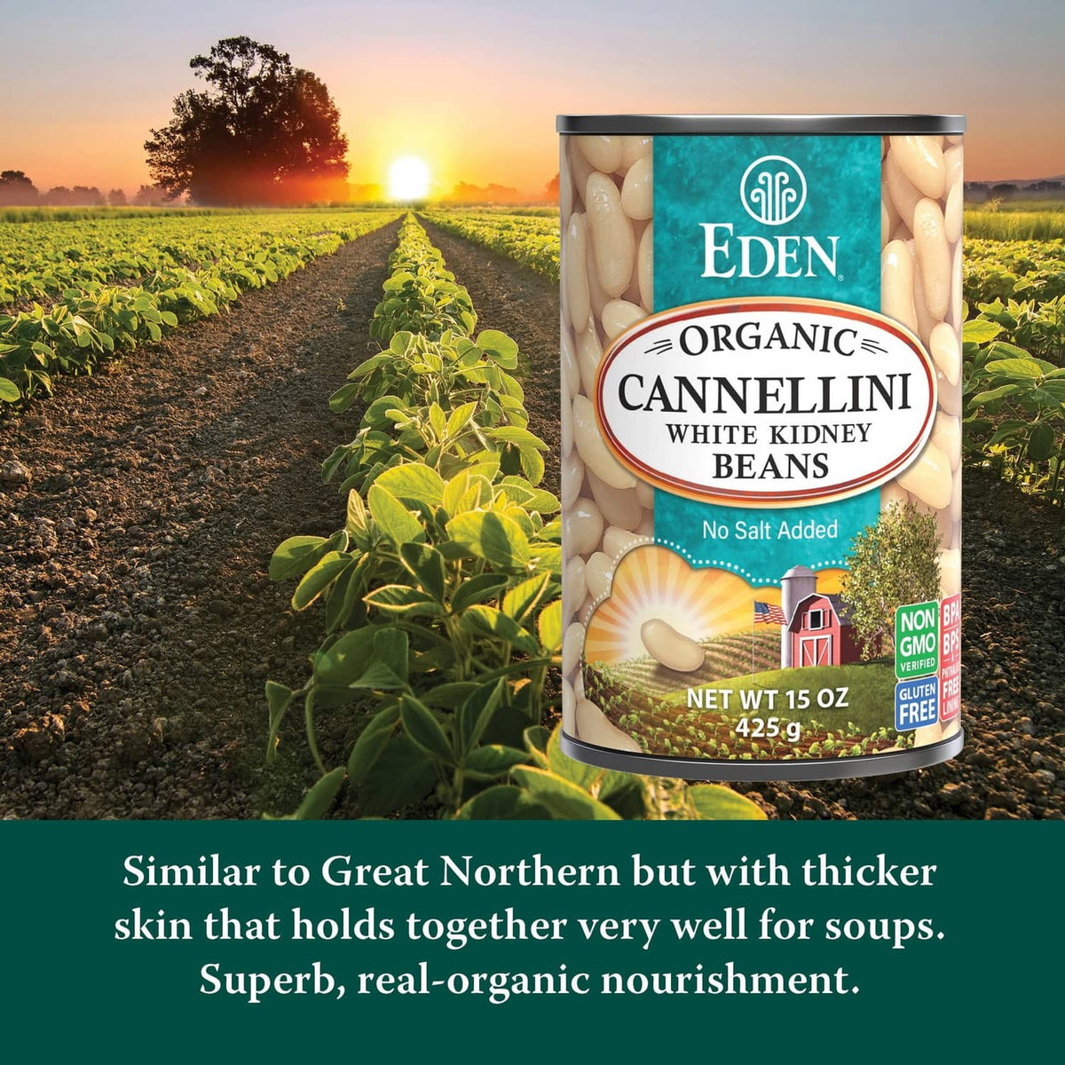 Organic cannellini beans can, no salt added, white kidney beans, 15 oz