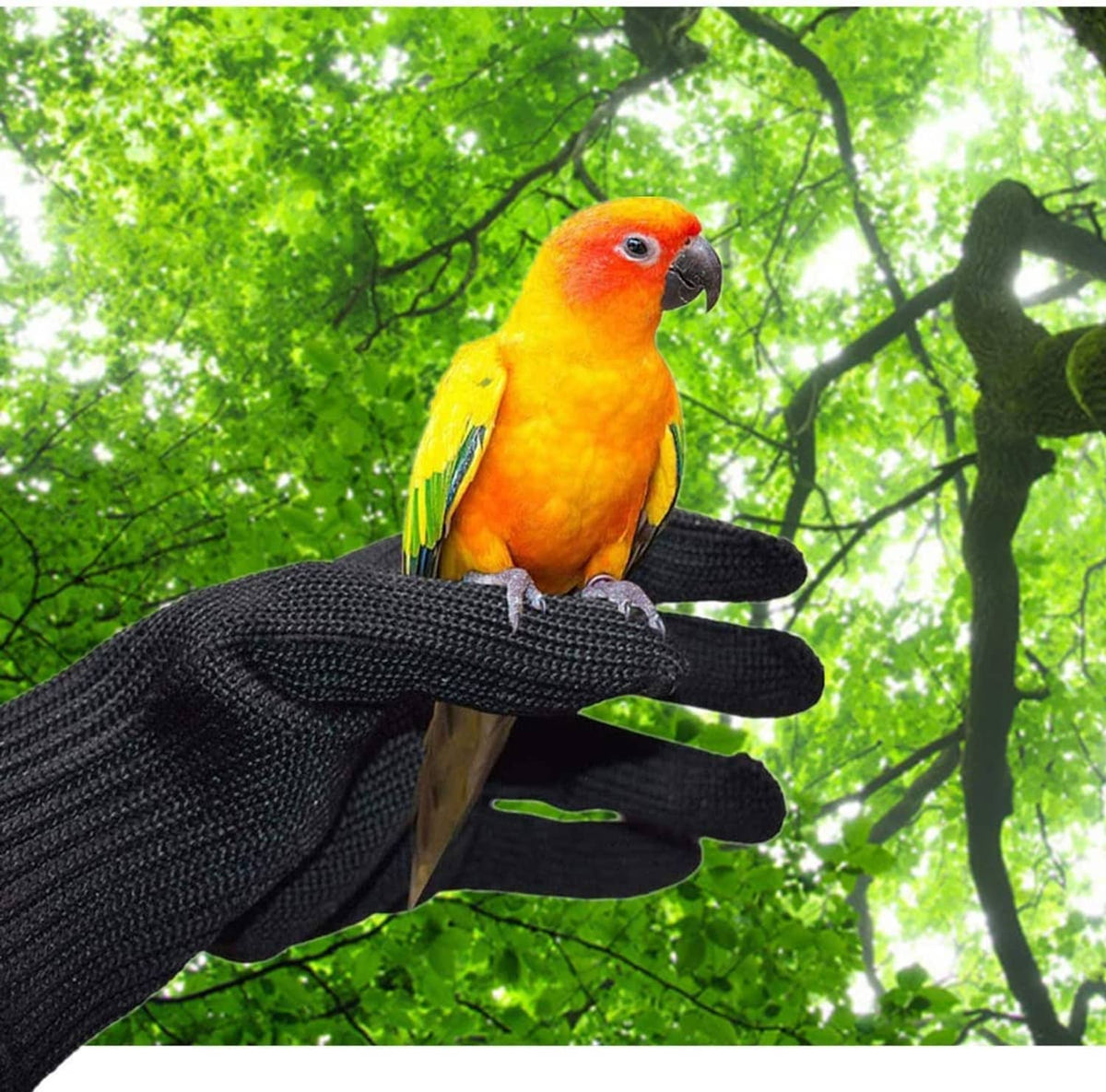 Black knit bird-handling gloves with a small parrot perched on the gloved hand