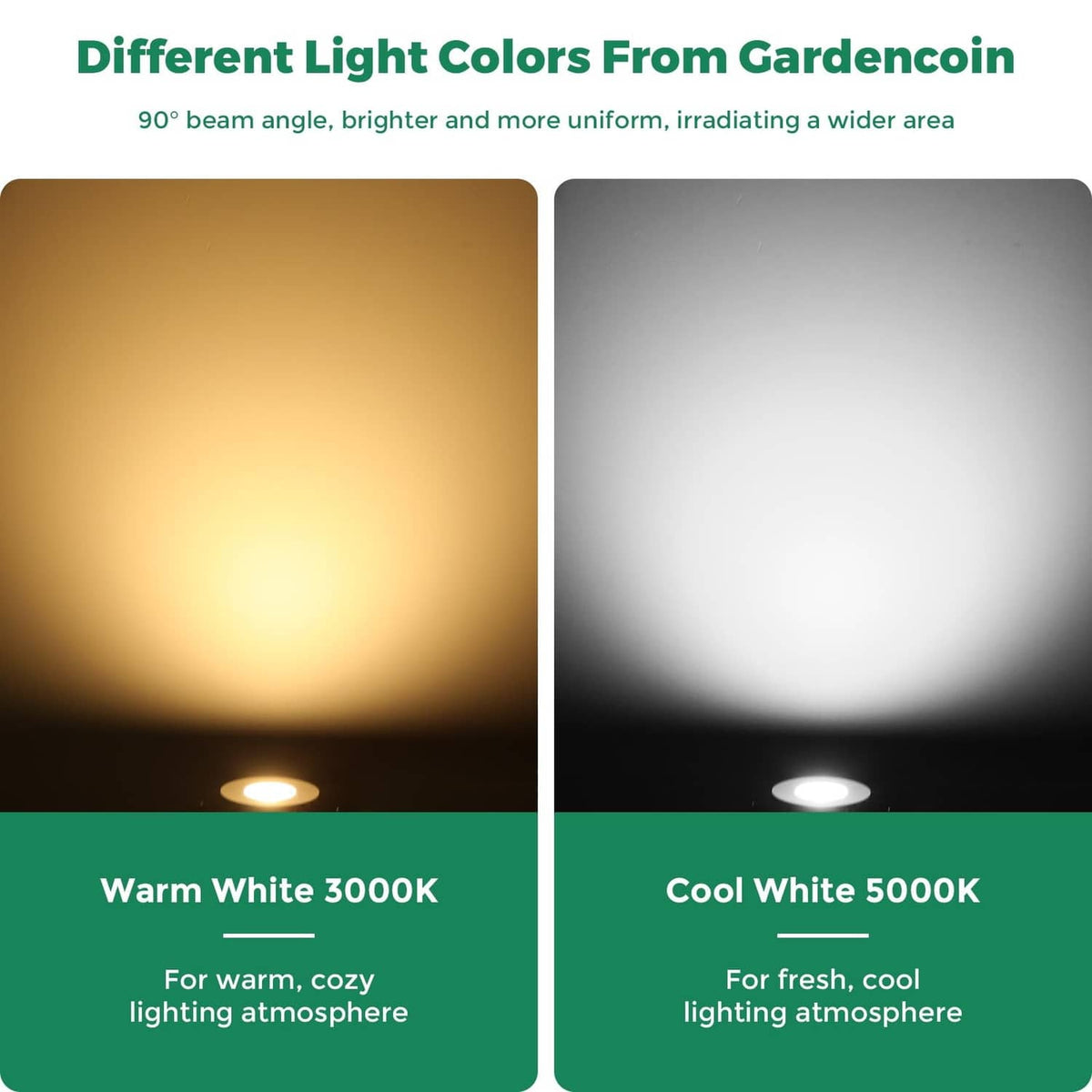 Warm and cool white LED beams: 3000K warm glow and 5000K cool illumination