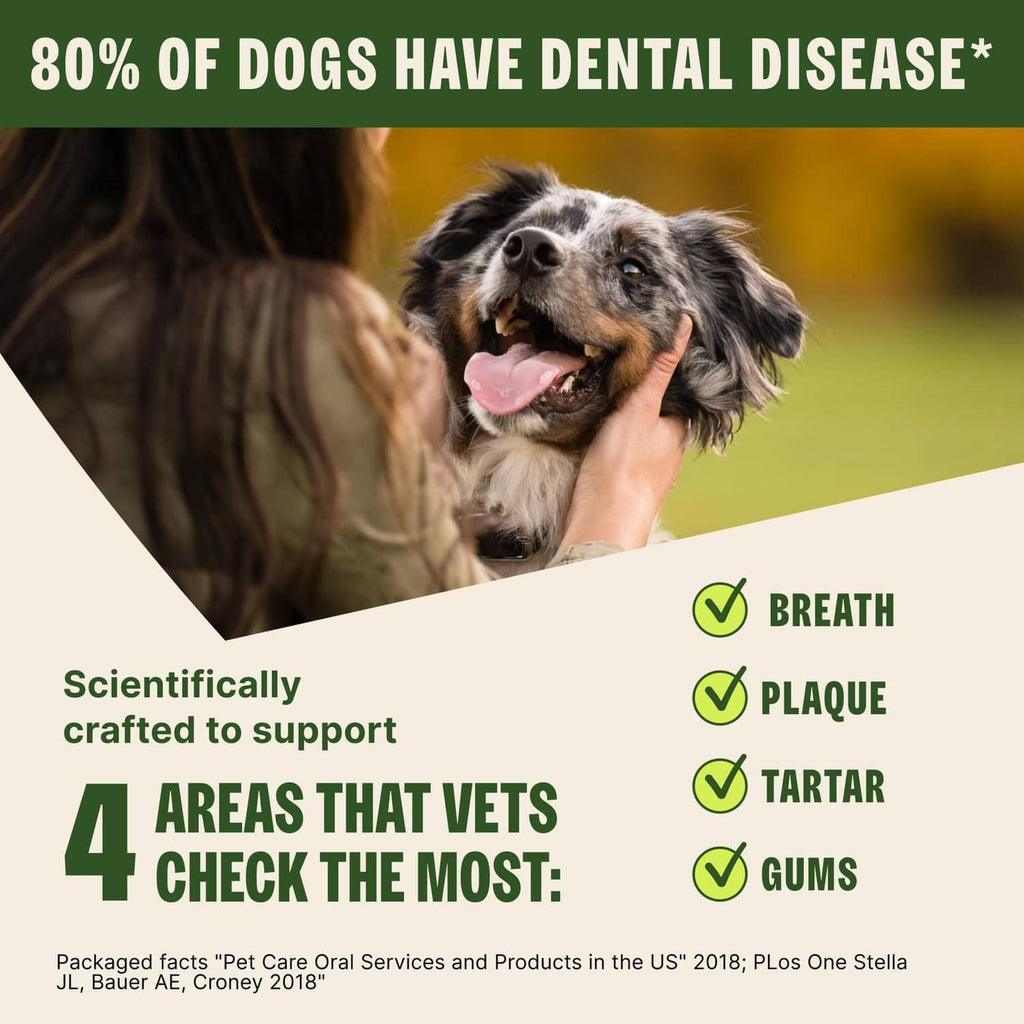 Small dog with dental chew in mouth; breath, plaque, tartar, and gums icons